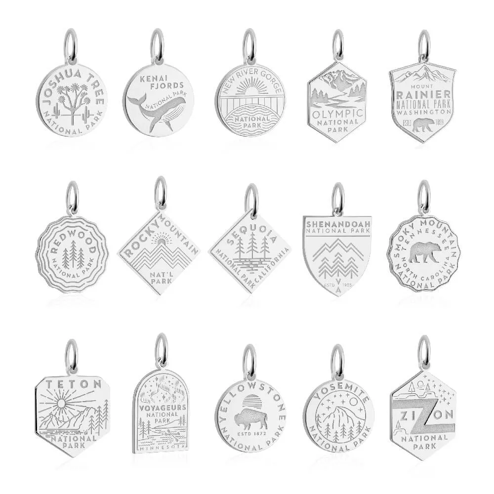 Death Valley National Park Charm, Silver