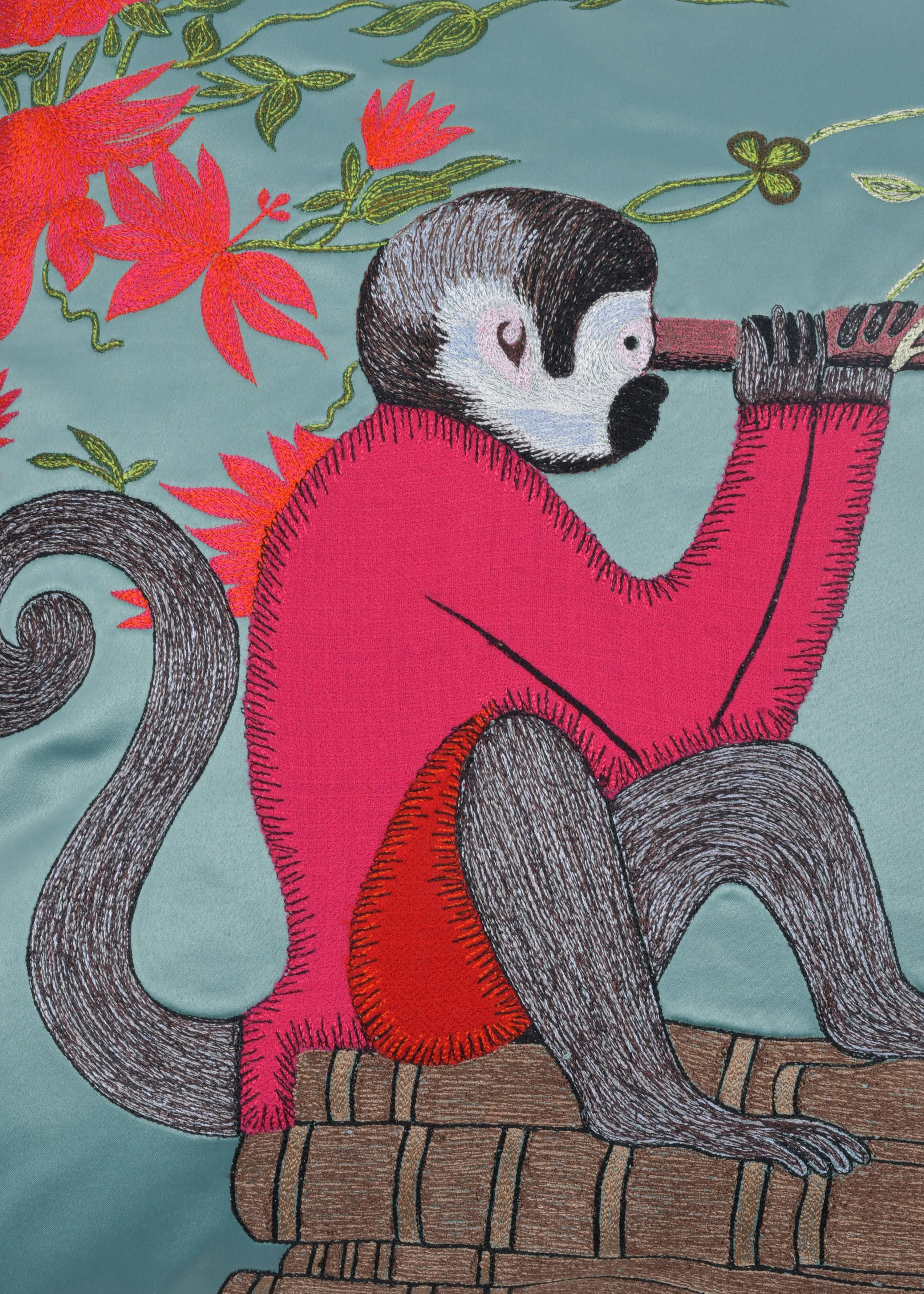 Explorer Monkey