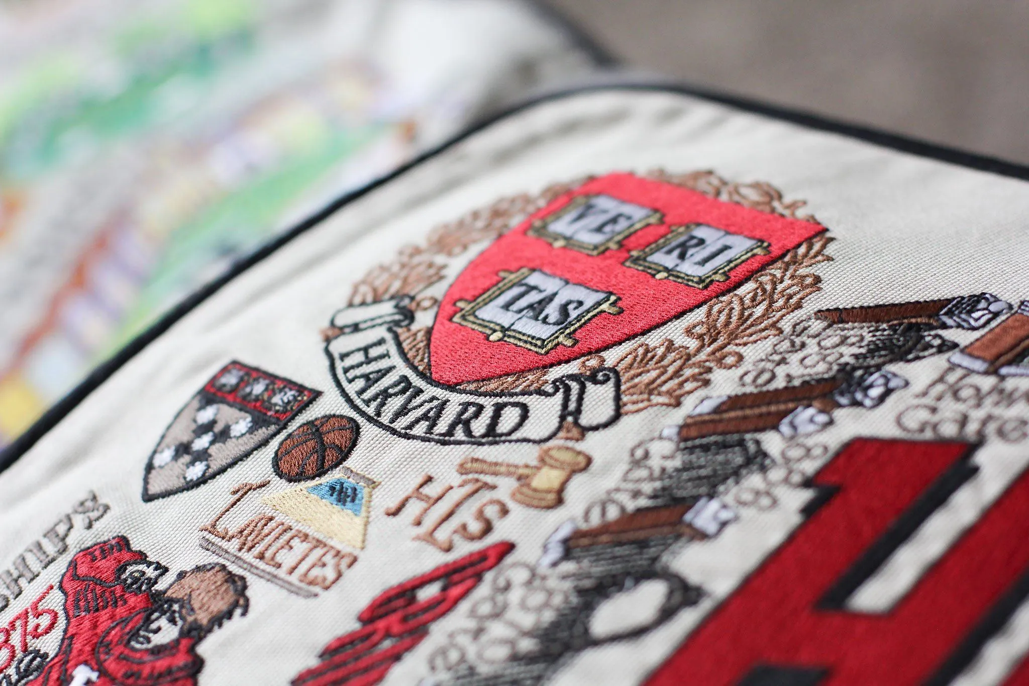 HARVARD UNIVERSITY PILLOW BY CATSTUDIO